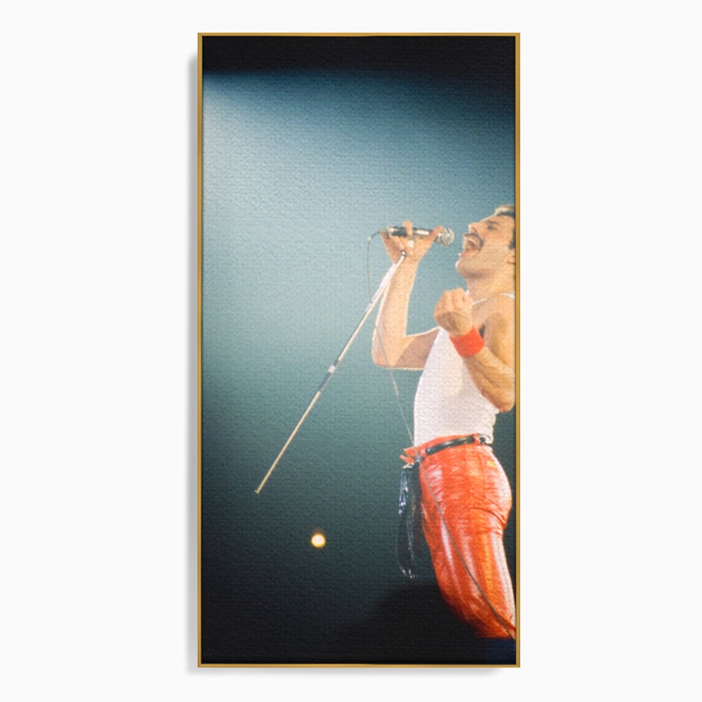 Tablou canvas cu tablou canvas cu freddie mercury, in rama de aluminiu auriu
